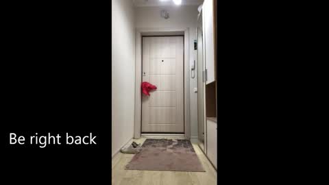 Melina online show from 25, 2, 2026