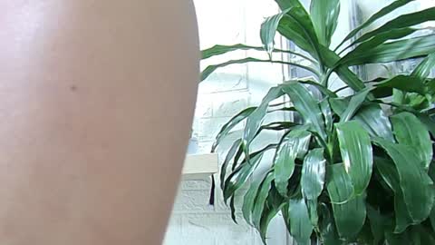 Snapshot of melisa_garcia chatting on 23, 1, 2025 Melissa online show from 23, 1, 2025