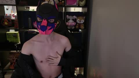 MellPUP online show from 30, 3, 2026