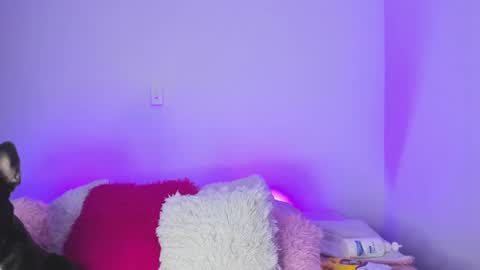    online show from 9, 2, 2025