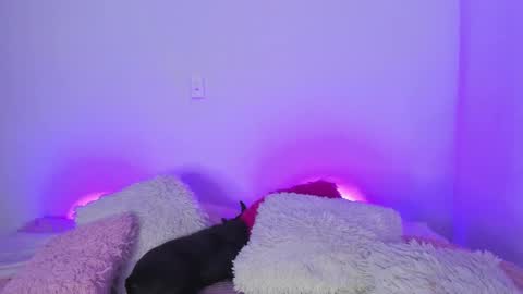    online show from 5, 3, 2025