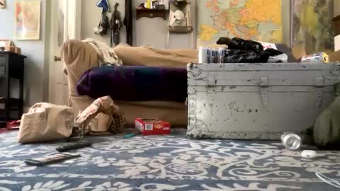 melt13 online show from 21, 4, 2026