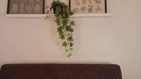 Snapshot of memphiswilliams chatting on 15, 2, 2026 Memphis Williams online show from 15, 2, 2026