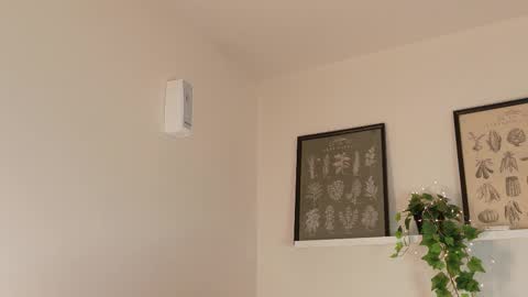 Snapshot of memphiswilliams chatting on 17, 2, 2026 Memphis Williams online show from 17, 2, 2026