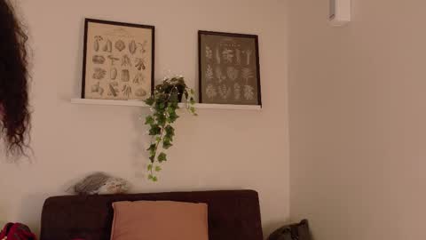 Snapshot of memphiswilliams chatting on 19, 2, 2026 Memphis Williams online show from 19, 2, 2026