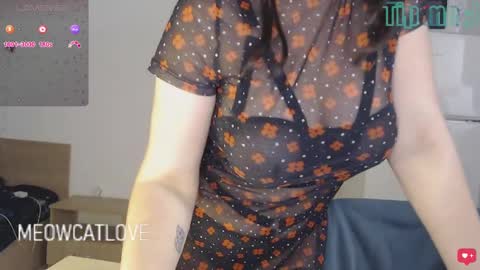 Snapshot of meowcatlove chatting on 24, 12, 2024 meowcatlove online show from 24, 12, 2024