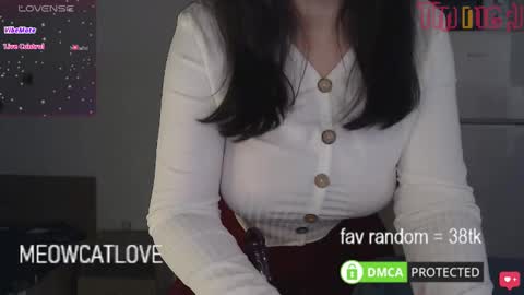 Snapshot of meowcatlove chatting on 20, 1, 2025 meowcatlove online show from 20, 1, 2025