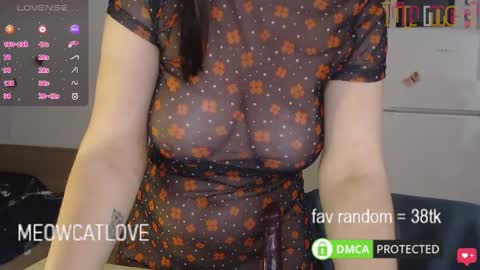 Snapshot of meowcatlove chatting on 26, 1, 2025 meowcatlove online show from 26, 1, 2025