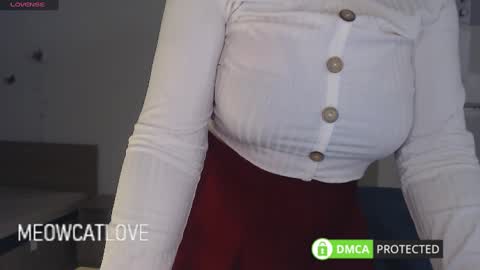 Snapshot of meowcatlove chatting on 12, 3, 2025 meowcatlove online show from 12, 3, 2025