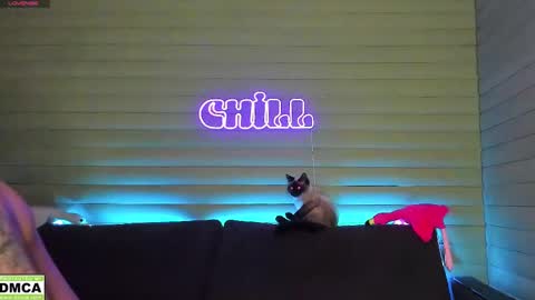  NIKKY  STIVE     Every day from 1000  to 200  EST time. online show from 11, 1, 2025