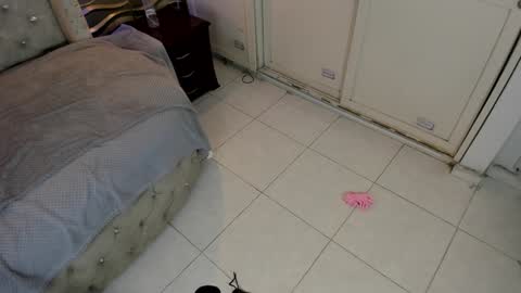    online show from 21, 1, 2025