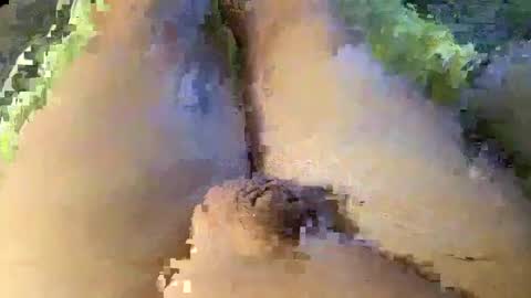 Snapshot of mewade chatting on 8, 1, 2025 Wade online show from 8, 1, 2025