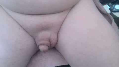 Snapshot of mewade chatting on 27, 1, 2025 Wade online show from 27, 1, 2025