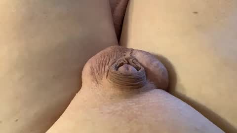 Snapshot of mewade chatting on 28, 1, 2025 Wade online show from 28, 1, 2025