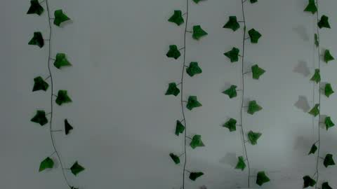 MIA online show from 11, 4, 2026