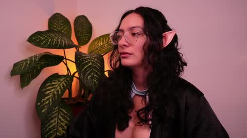 MIAPORTMANN online show from 24, 5, 2026