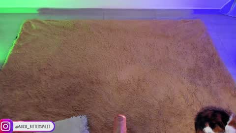 Snapshot of mich_bittersweet chatting on 29, 1, 2025 online show from 29, 1, 2025