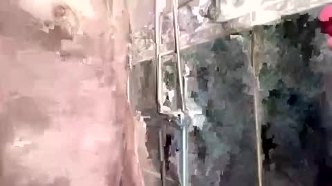 Snapshot of mickavis1975 chatting on 3, 2, 2025 mickavis1975 online show from 3, 2, 2025