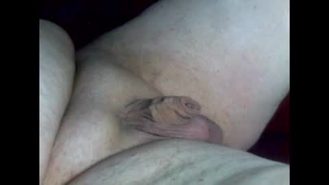 micropimmel online show from 26, 2, 2026