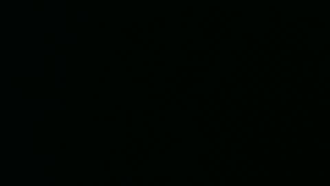 Snapshot of micwalrus chatting on 5, 3, 2026 micwalrus online show from 5, 3, 2026