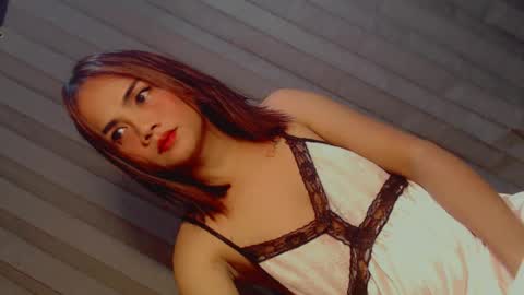 terra online show from 29, 6, 2026