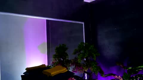 Snapshot of midnight_seduction chatting on 13, 2, 2025 Alice online show from 13, 2, 2025