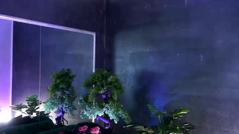 Snapshot of midnight_seduction chatting on 7, 3, 2025 Alice online show from 7, 3, 2025