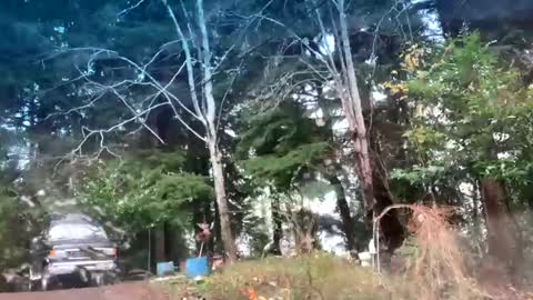 mikeblair5081 online show from 22, 12, 2025