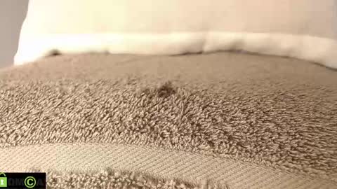 Mikell Williams online show from 12, 3, 2025