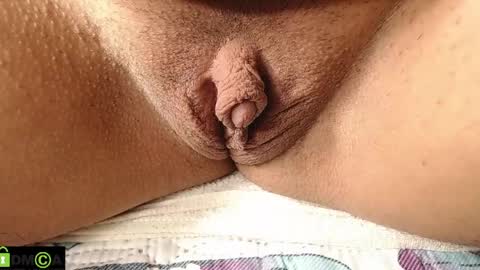 Mikell Williams online show from 6, 4, 2026