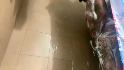 Snapshot of mikeyblunt chatting on 25, 2, 2025 mikeyblunt online show from 25, 2, 2025