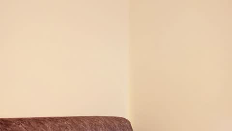     online show from 28, 12, 2024