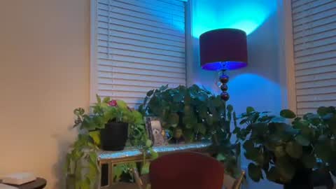 Snapshot of milf_goddess chatting on 17, 12, 2025 MIlf Goddess online show from 17, 12, 2025