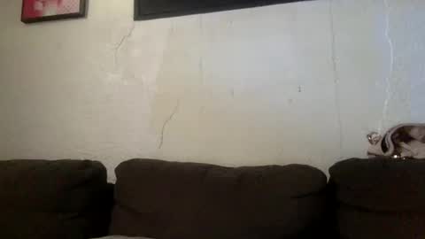 BabygirlsFreaky online show from 24, 5, 2026