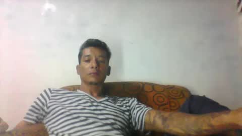 Hammer online show from 28, 1, 2025