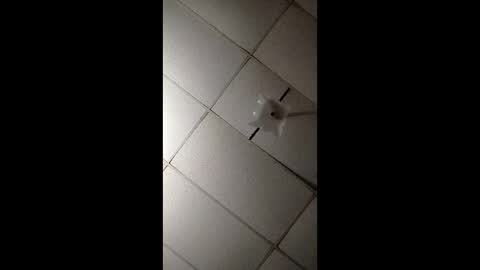 Snapshot of miloanj chatting on 7, 11, 2025 miloanj online show from 7, 11, 2025