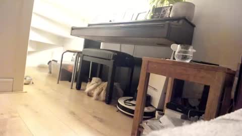 Milu online show from 5, 3, 2025