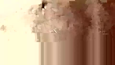 minniehunney online show from 23, 4, 2026