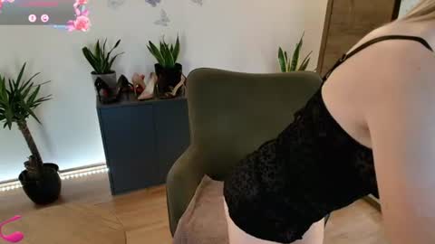 Mirela online show from 2, 8, 2026
