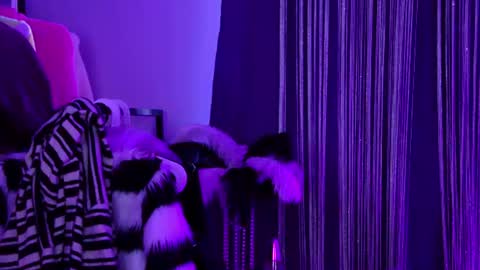 Misa online show from 25, 6, 2026