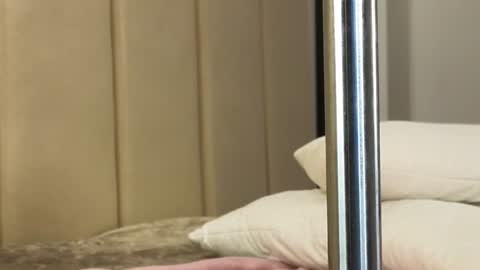 Annie  dont forget to thumbs up me  online show from 11, 1, 2025