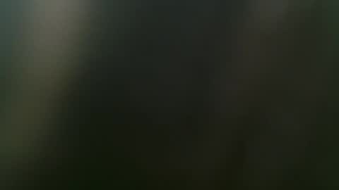 Misha online show from 15, 2, 2025