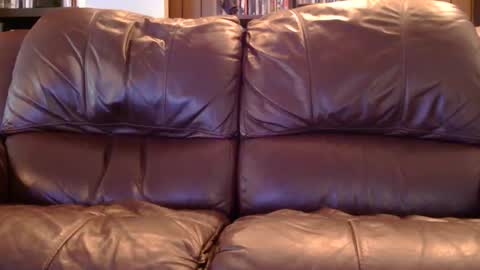 misohoney007 online show from 11, 4, 2026