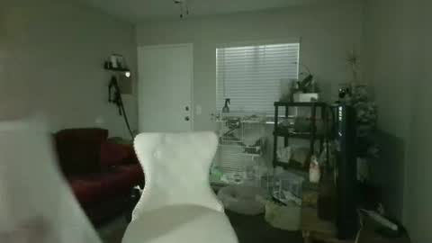 miss_cori_cummings online show from 7, 3, 2026