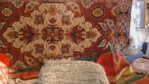 Snapshot of miss_elistia_ chatting on 14, 11, 2025 Elis online show from 14, 11, 2025