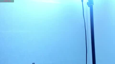 Kloe online show from 14, 7, 2026