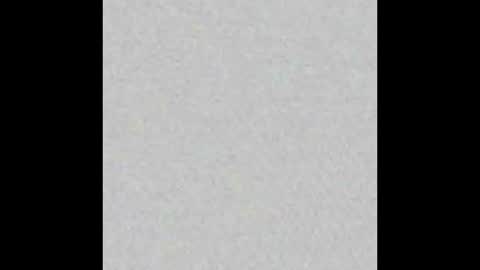 D A N A online show from 29, 10, 2025