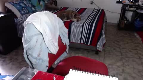 Maria Gomezz online show from 2, 2, 2026