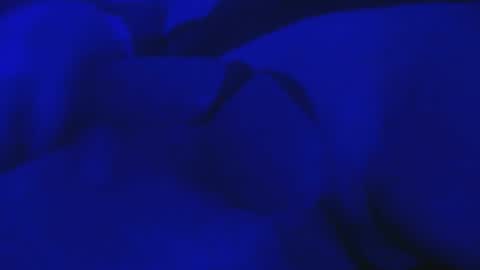 Snapshot of misterfixxit chatting on 4, 10, 2025 Mike Cho online show from 4, 10, 2025