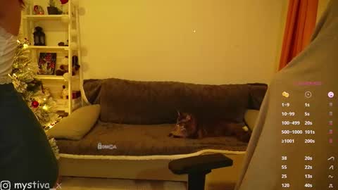 Hi everyone Im Tina online show from 20, 12, 2025